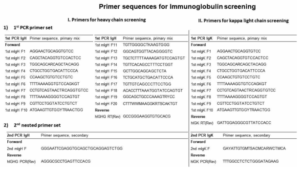 mouse immunoglobulin variable region에 특화된 primer set 서열 및 human IgG1에 특이적인 primer 서열