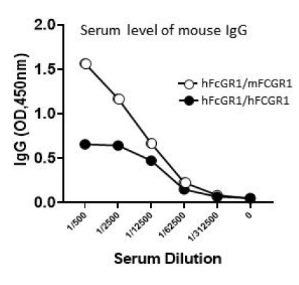 FCGR1의 타입에 따른 혈중 항체 농도의 차이. mouse FCGR1이 human FCGR1으로 대체된 경우 (black circle) 경우 혈중 mouse 항체 농도가 낮게 유지되고 있음