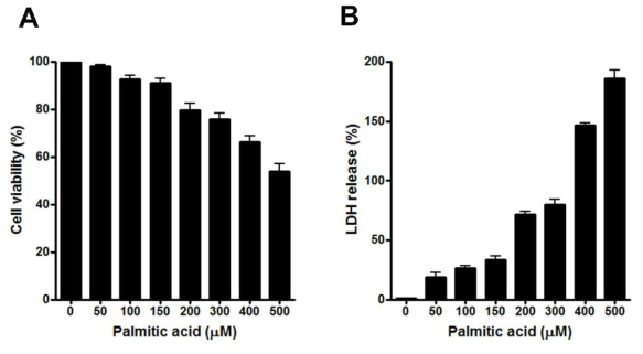 Palmitate 지방산 처리에 의한 세포 생존의 감소 및 세포 독성의 증가