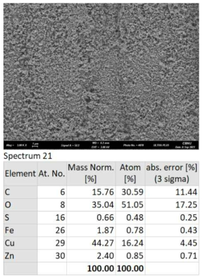 KARI-21-03 시험 시편의 SEM 촬영 및 EDS 분석 결과