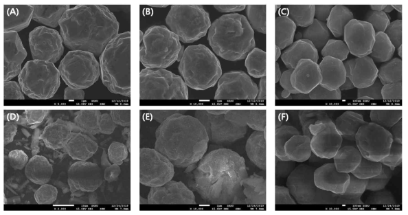 (A) 10μm (B) 5μm (C) 1μm 크기의 Cu 입자 (D) 10μm (E) 5μm (F) 1μm의 Cu 입자와 전구체의 Core-shell 구조의 SEM 이미지