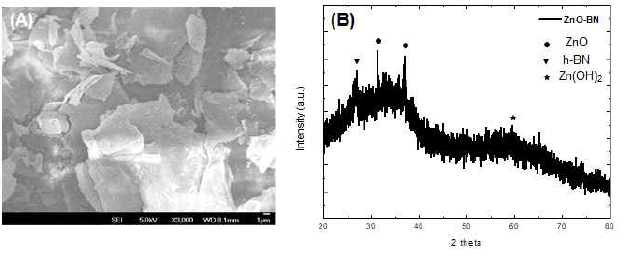 (A) ZnO에서의 BN 합성 후 SEM 이미지 (B) XRD 분석