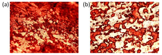 (a)산화구리와 (b)구리에서 합성한 샘플의 표면 에칭 이후 광학현미경 이미지