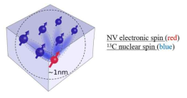 단일 점결함 전자스핀 큐비트와 상호작용하는 핵스핀 큐비트로 구성된 양자레지스터. 핵스핀과 전자스핀 은 hyperfine interaction 에 의해 상호작용하고 그 세기는 거리에 의해 결정됨