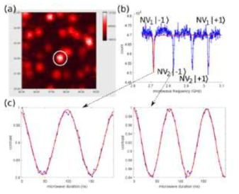 공초점 현미경 셋업에서 광학적으로 측정된 NV 센터 전자스핀 쌍 (b) ODMR 측정을 통하여 두개의 전자스핀을 확인할 수 있음 (c) 각각의 NV 센터 전자스핀을 단일게이트로 조작하여 구현한 Rabi oscillation