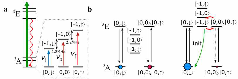 (a) 다이아몬드 내 NV 센터 energy level. 3A triplet ground state 에서 큐비트 level로 사용되는 ms=0,-1 사이에서 NV 센터 ms=-1 상태일때 주변의 질소 핵스핀(I=1)에 의하여 2.2MHz의 hyperfine splitting이 일어남. (b) Excited State Level Anti-Crossing(ESLAC)의 원리를 이용하여 주변 핵스핀을 광학적으로 초기화 시킬 수 있음