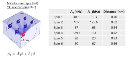 전자스핀과 총 6개의 핵스핀 간의 hyperfine coupling strength (A||, A⊥) 및 거리
