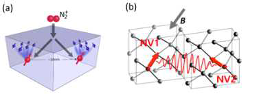 다이아몬드 내 강한 상호작용 하는 NV 센터 전자스핀 큐비트(빨강)쌍과 주변 결합된 13C 핵스핀들(파랑)로 이루어진 양자노드 시스템