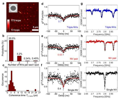 (a) 공초점 현미경으로 측정된 이온 주입 후 다이아몬드의 표면. (b) 각 스팟에서의 생성된 NV 센터들의 확률 분포. (c) 각 스팟에서 측정된 단일 NV 센터들의 T2 결맞음 시간. 1~3개의 NV 센터들의 (d~f) g2 와 (g-i) ODMR peaks 측정 결과
