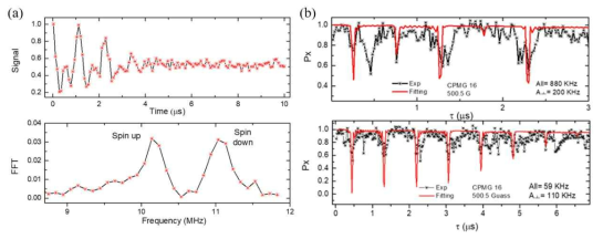 (a) Ramsey measurement를 통해 전자스핀과 상호작용하는 핵스핀 (All= 880 KHz) 의 spin up 과 spin down 에 의한 beating 현상 관측. (b) CPMG를 적용시켜 Ramsey measurement 에 의해 측정된 hyperfine coupling strength (All= 880 KHz) 값을 가진 핵스핀의 존재 여부 검증