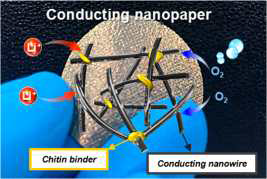 전도성 은 나노 와이어를 극소량의 키틴질로 접착하여 만든 음극 물질