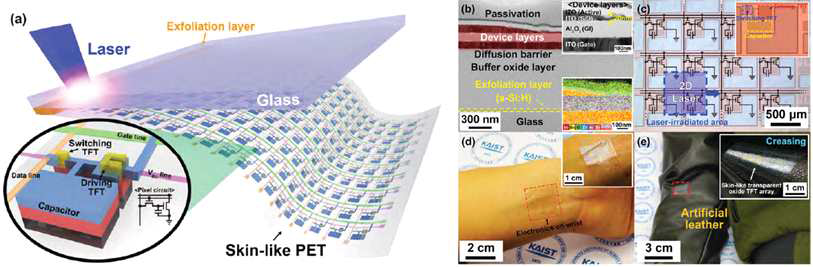 (a)유연한 산화물 TFT제작 모식도 (b)TFT의 TEM이미지 (c)TFT array의 OM 이미지 (d),(e) 제작한 소자의 피부 및 옷감 위의 이미지