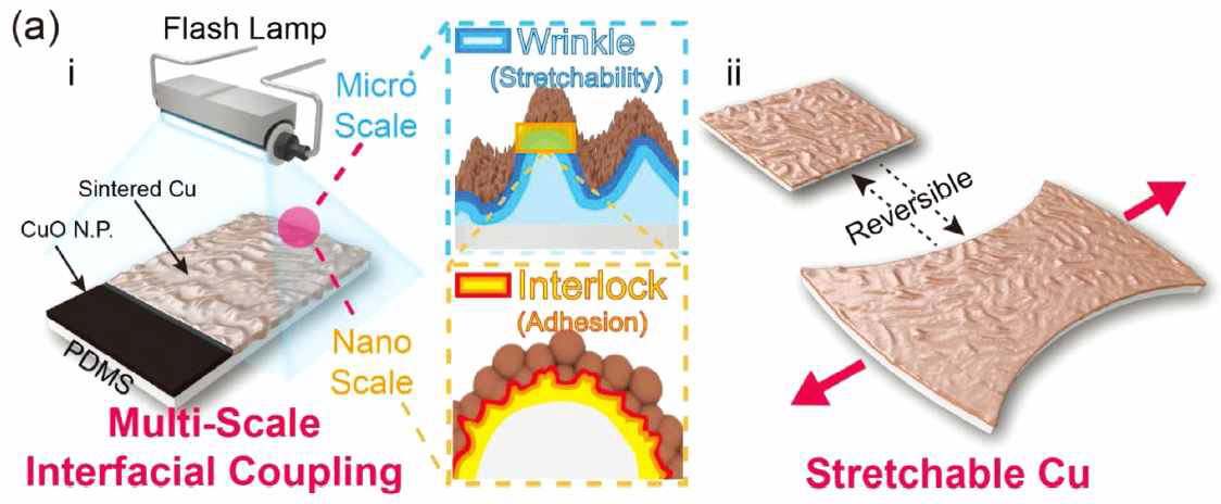 래쉬 램프를 이용한 Cu 나노파티클의 소결을 통해 Stretchable Cu 전극이 제작되는 공정 모식도