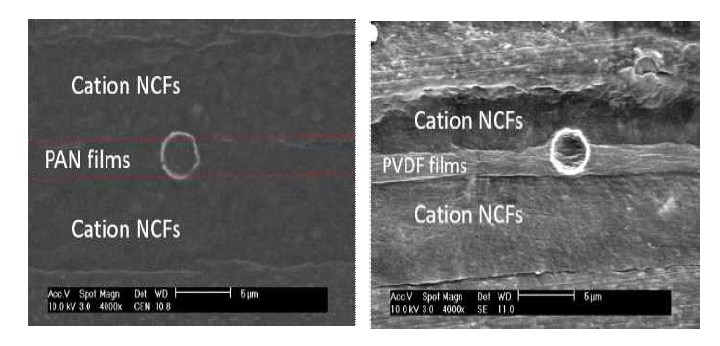 PAN/PVDF APL ACFs의 단면 사진