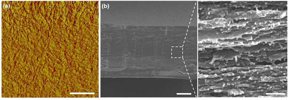 키틴 나노섬유 필름의 표면분석 사진