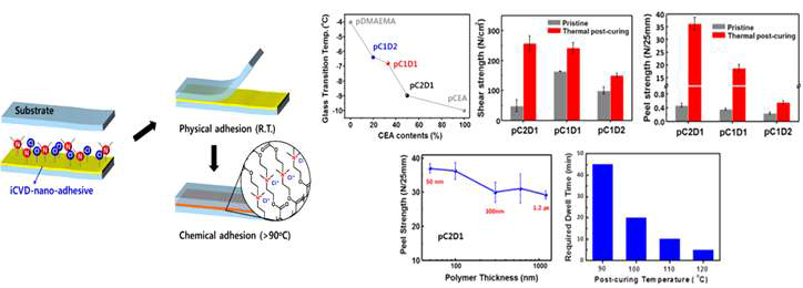 전반적인 Adhesion process scheme과 조성, 두께 및 경화조건에 따른 접착 조건 최적화