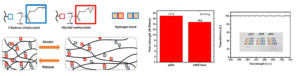 합성한 고분자 구조의 모식도, 5R bending 전후 박리강도, 가시광선 영역에서의 투과도