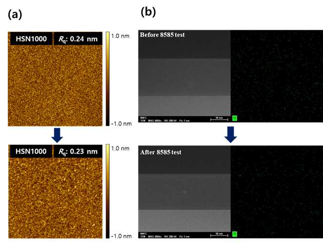 7일 동안의 고온/고습 시험 (85°C, 85% relative humidity) 후 (a) AFM (b) TEM-EDS 분석 결과