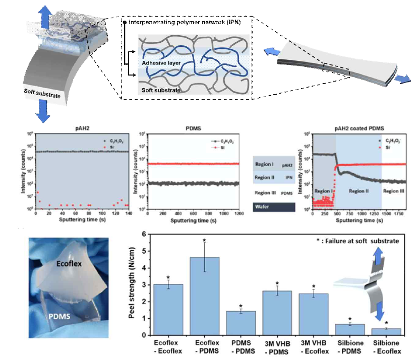 연신성 접착제의 개요도와 TOF-SIMS를 이용한 depth profile 분석, 다양한 기판에서의 접착력 확인