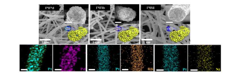 PtRb, PtNiO 이종 촉매가 기능화 된 단백질 템플릿 기반 금속산화물 나노섬유 초고감도 센서의 유해기체 검출