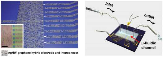 Microfluidic 시스템과 연계한 바이오센서 측정 시스템