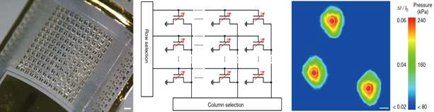 12 x 12로 이루어진 active-matrix 압력센서 TFT array