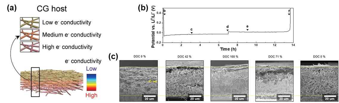 (a) 나노혼성소재 기반 전도구배 리튬호스트의 모식도. (b) 나노혼성소재 기반 리튬호스트의 리튬 전착의 전기화학적 거동 및 (c) 지점 별 리튬호스트 내 단면 외관