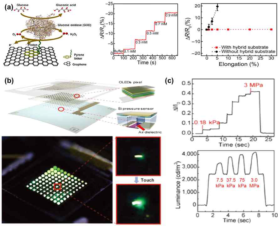 1단계에서 개발된 TFT 기반 웨어러블 바이오·압력센서 플랫폼 (a) 웨어러블 바이오센서 (혈당센서) 특성 (b) 디스플레이 픽셀과 결합된 압력센서 플랫폼의 모식도 및 사진 (c) 압력센서 플랫폼 특성