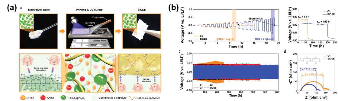 (a) 균일한 리튬 이온 흐름에 기반한 복합나노소재 기반 전해질 (b) 대칭전지 평가를 통한 리튬금속 음극의 수명특성 향상 결과