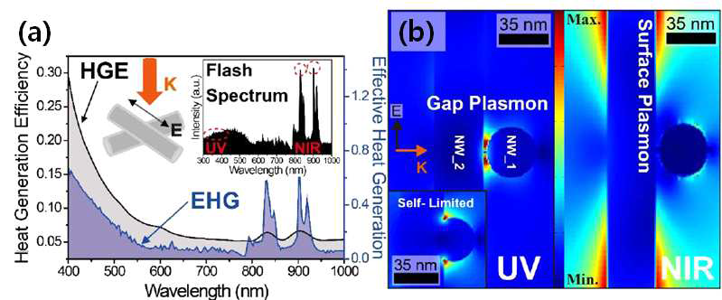 (a) 플래쉬 램프 파장에 따른 열 생산 효율 그래프, (b) FDTD 시뮬레이션 결과
