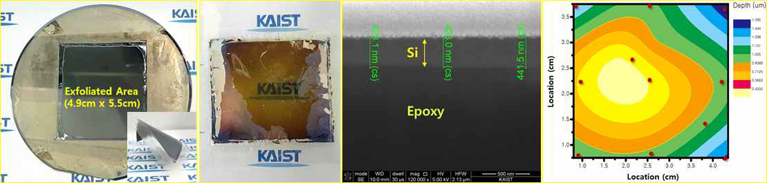 박리된 시편의 이미지와 단면 SEM 및 시편의 두께 Contour 이미지