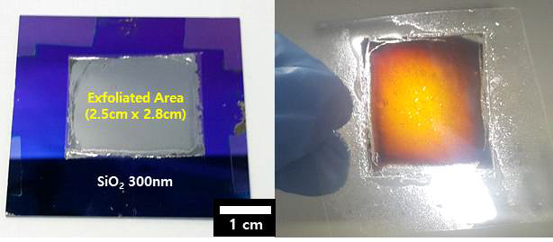 SiO2 passivation layer가 존재하는 Si 기판에서 상부 Si층을 박리했을 때 이미지