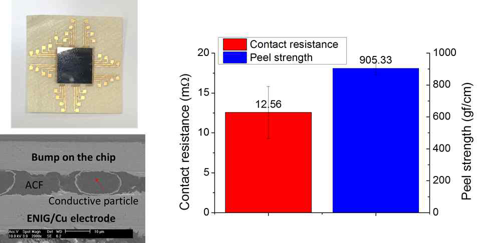(좌) COF 접합 이후 ACFs joint 형상 (우) COF의 전기/접합 특성