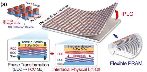 물리적인 박리(Physical lift off, PLO) 공정으로 제작되는 유연 상변화메모리 소자 제작 공정 모식도