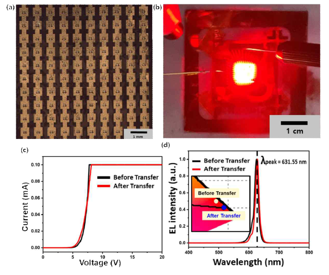 제작된 유연 적색 μLED 발광 모습 및 전사 전후 전기적, 광학적 특성 평가