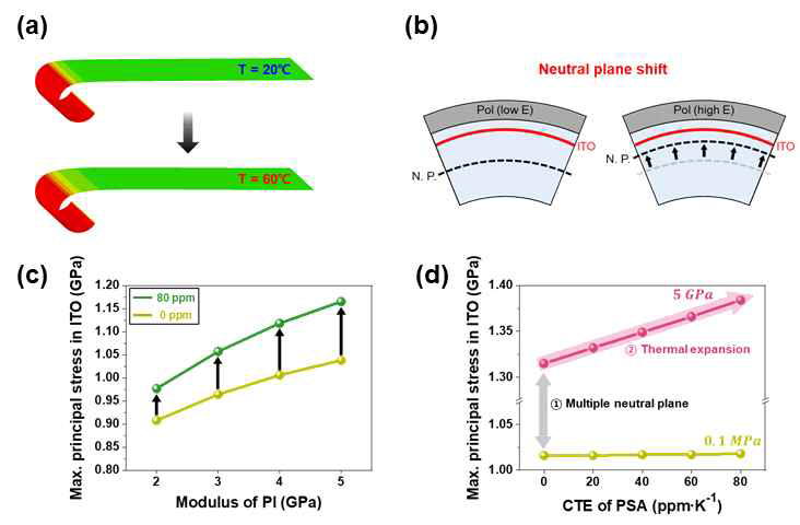 (a) 롤러블 디스플레이 구조의 구동 온도에서의 응력 시뮬레이션 모식도 (b)~(d) 각 층의 물성 변화에 따른 ITO 층 응력 시뮬레이션 결과 (b) 편광필름 (c) PI 기판 (d) PSA