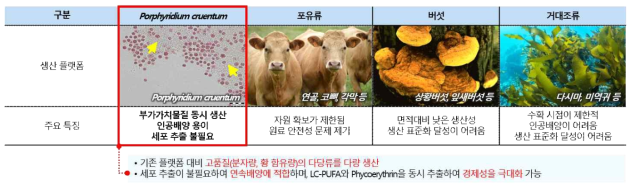 황화 다당류 생산 플랫폼들의 특징 및 미세조류의 우수성