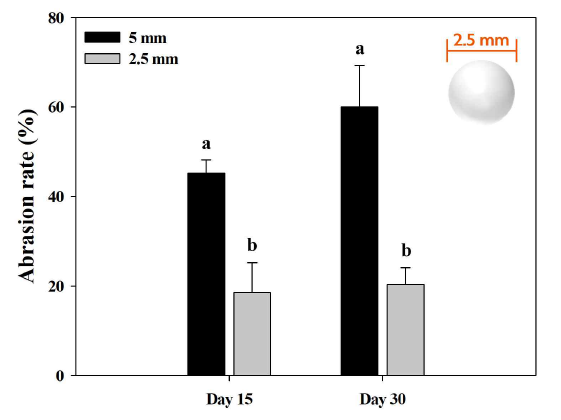 Bead abrasion rate on days 15 and 30 according to different bead diameters