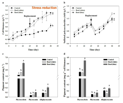 Effect of light wavelength on the immobilized cultivation of P. cruentum. (a) Growth curve. (b) The yield of SPs. (c) Content of PBs. (d) The content of PBs relative to the cell biomass