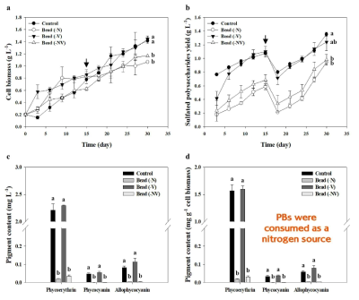 Effect of simultaneous application of the immobilized and nutrient deficiency on P. cruentum. (a) Growth curve. (b) The yield of SPs. (c) Content of PBs. (d) The content of PBs relative to the cell biomass