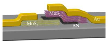 MoS2를 이용한 공명터널링 트랜지스터 모식도
