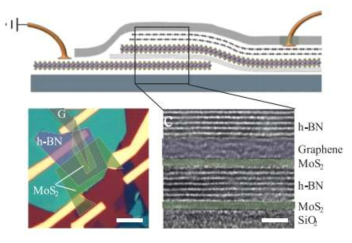 MoS2 단일층 공명터널링 트랜지스터 모식도와 실제 소자 이미지