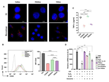 In vitro 분석 결과