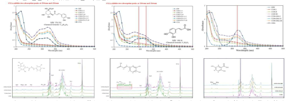 Chlorogenic acid, Caffeic acid, Gentisic acid 키토올리고당 신규 유도체 합성 및 특성 확인