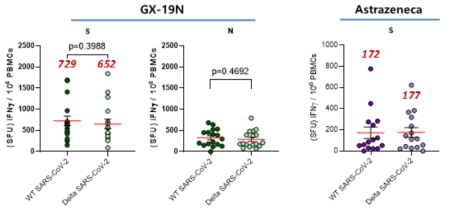GX-19N 및 Astrazeneca (AZ) 접종 후 델타 변이에 대한 T세포 면역반응