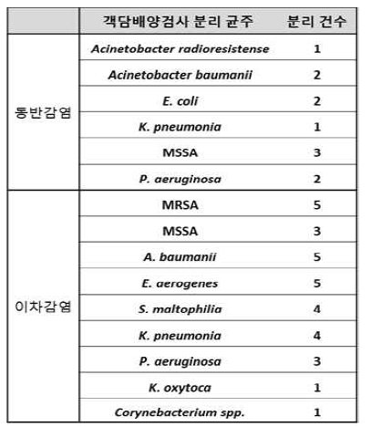 동반 및 이차감염의 객담배양에서 분리된 세균 분석 결과