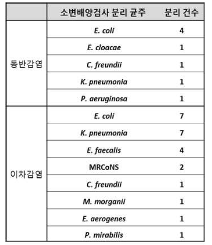 동반 및 이차감염의 소변배양에서 분리된 세균 분석 결과