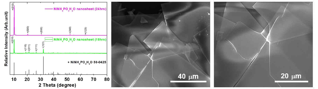 수열합성을 통해 얻은 NiNH4PO4·H2O nanosheet