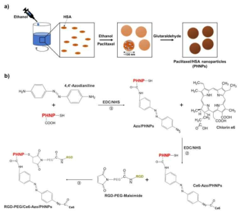 암조직 특이환경에 반응하는 약물전달체의 합성과정. a) 나노입자 합성과정, b) 나노입자 기능화