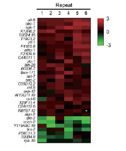 RNAi 스크린 결과 확인